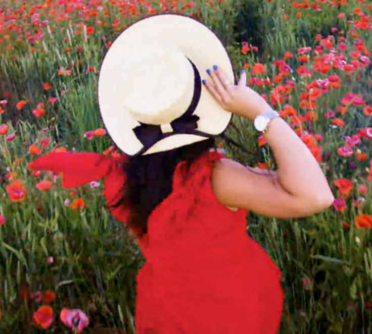 The ‘Lifetime Partner 24: Driving Growth’ Strategic Plan